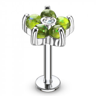 Piercing fleur  6 ptales d'opale verte (lvre, cartilage...)