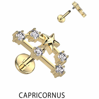 Piercing hlix dor signe astrologique Capricorne