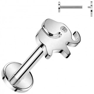 Piercing labret Titane Elephant (lvre, hlix, flat, lobe...)