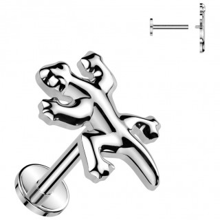 Piercing labret Titane  Lzard Gecko (lvre et oreille)